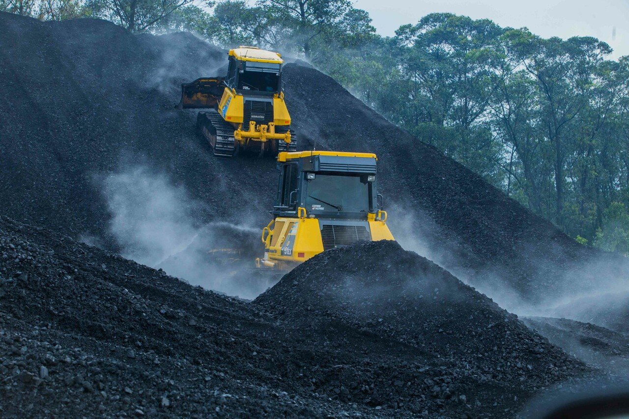 Carvogusa-materia-prima