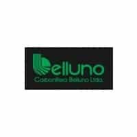 Logo da empresa CARBONÍFERA BELLUNO